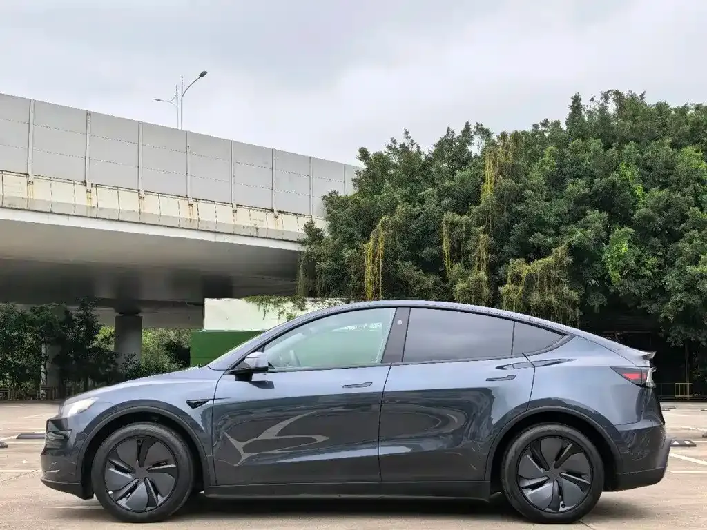 Tesla Model Y — фото 2