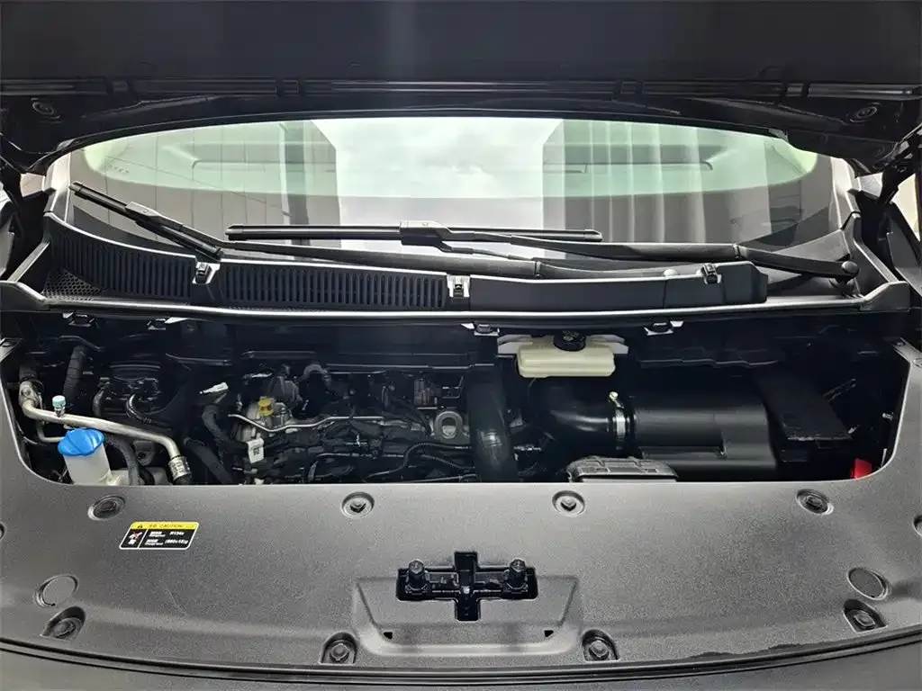 Hongqi HQ9 2023 из CN, фото 4