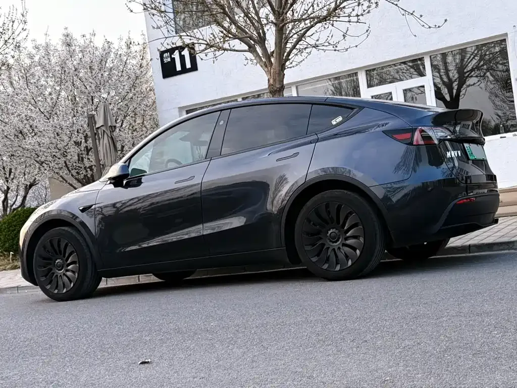 Tesla Model Y — фото 8