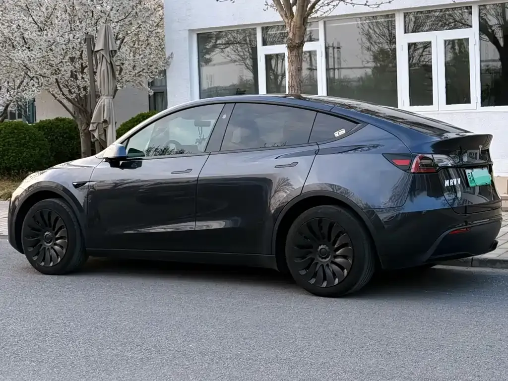 Tesla Model Y — фото 9