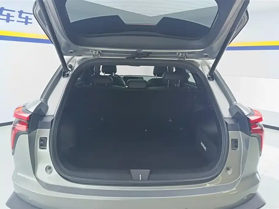 Haval Shenshou 2023 из CN, фото 3
