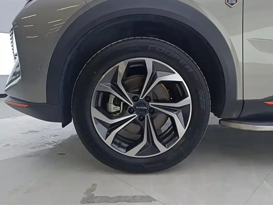 Haval Shenshou 2023 из CN, фото 9