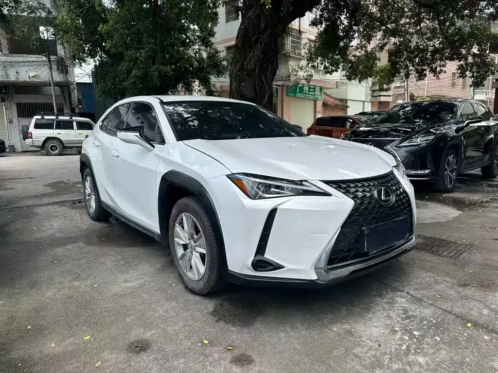 Lexus UX 2021 из CN, фото 7