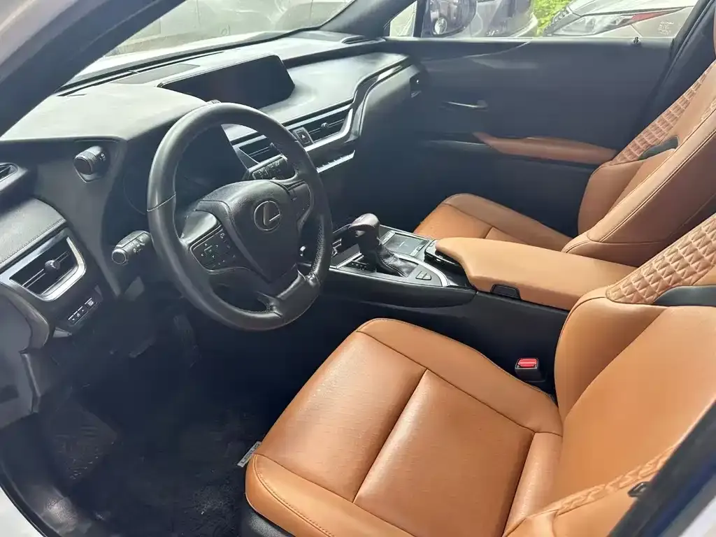 Lexus UX 2021 из CN, фото 8