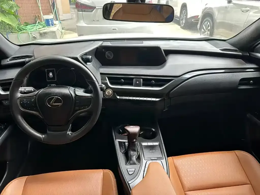 Lexus UX 2021 из CN, фото 3