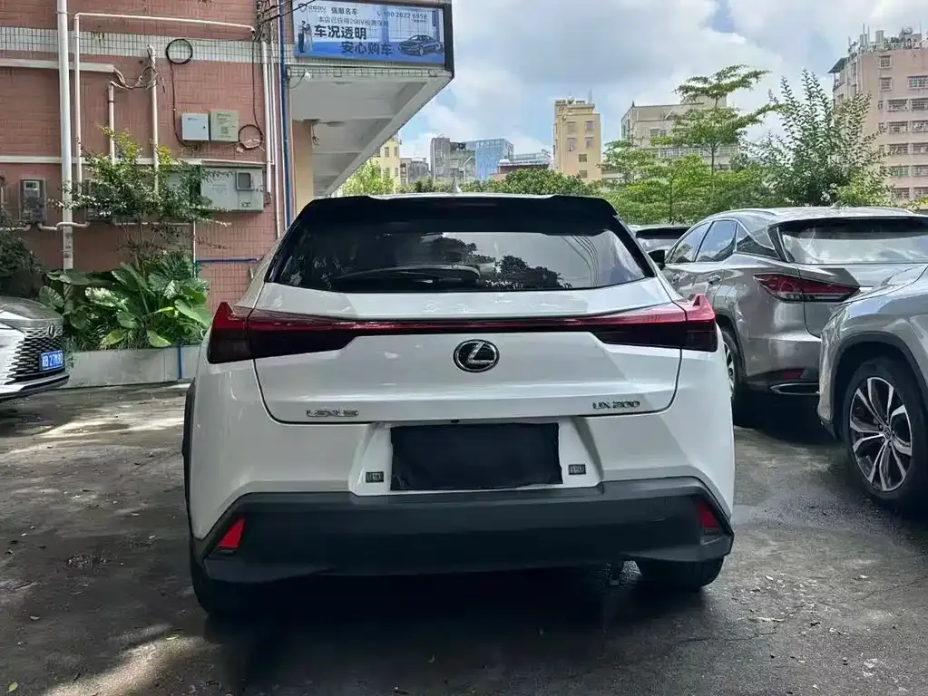 Lexus UX 2021 из CN, фото 9