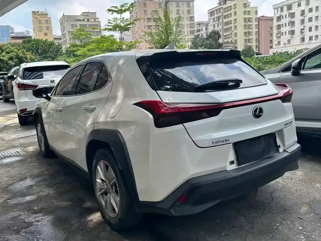 Lexus UX 2021 из CN, фото 6