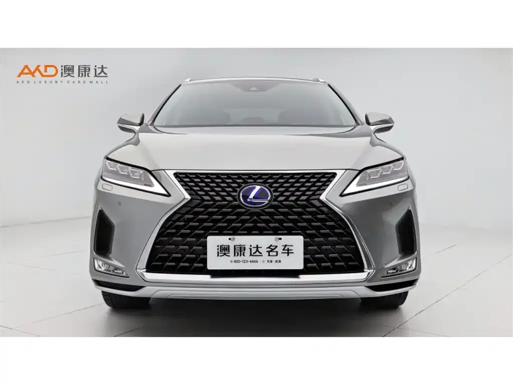 Lexus RX — фото 9