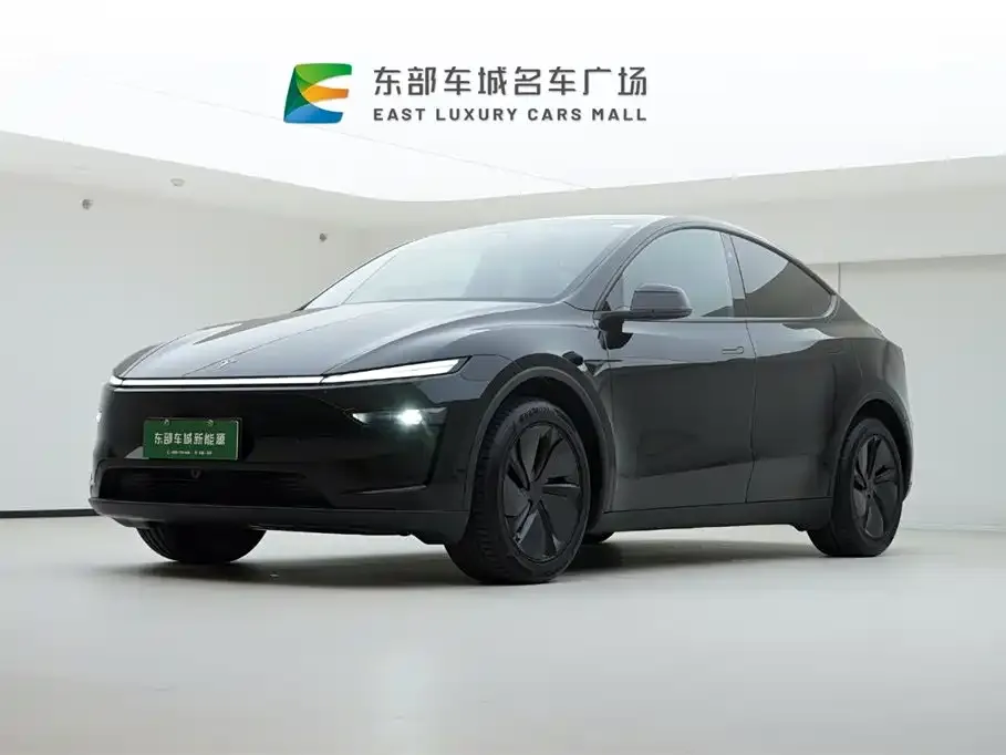 Tesla Model Y 2026 из CN, фото 1