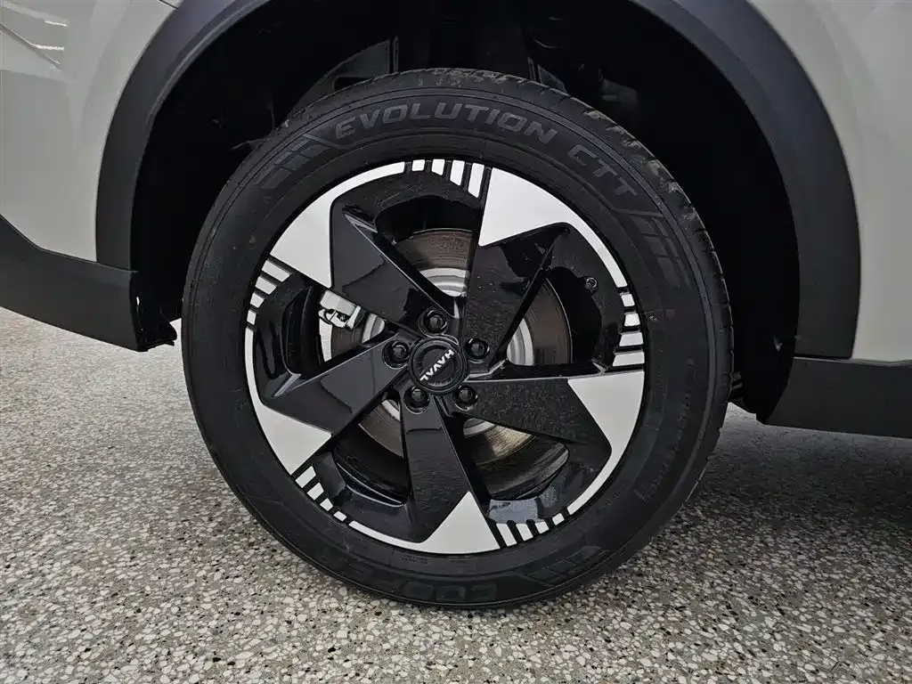 Haval Xiaolong MAX 2026 из CN, фото 6