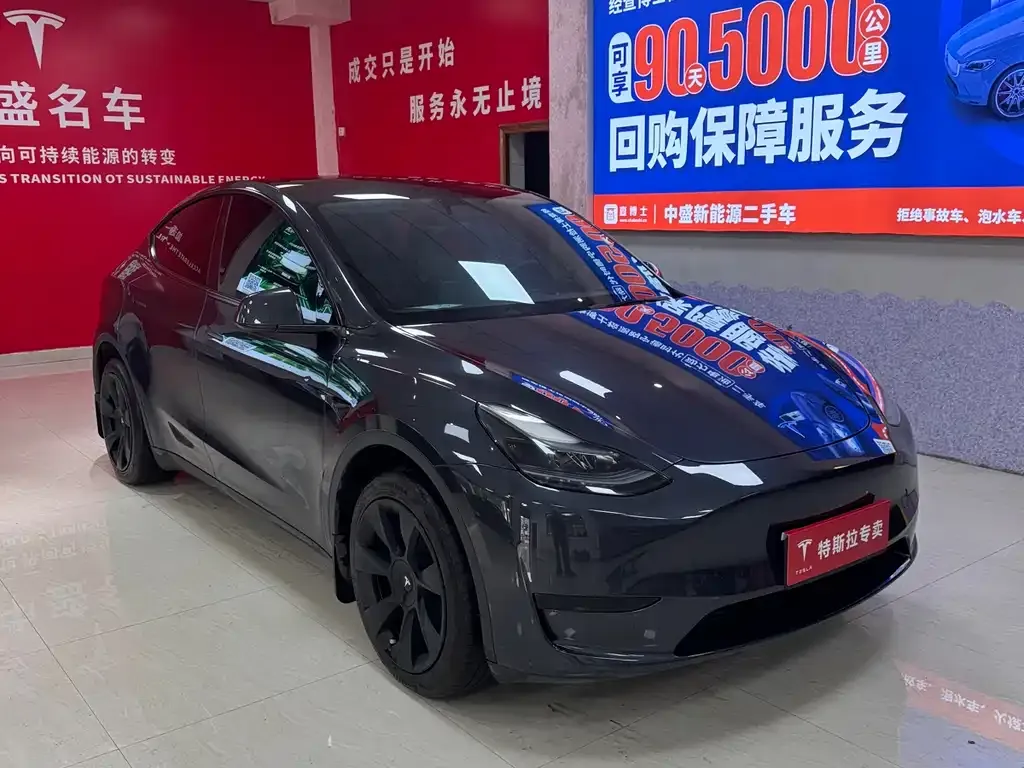Tesla Model Y — фото 8