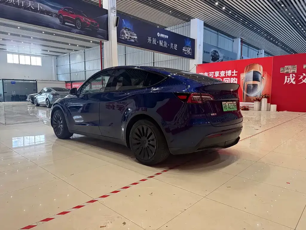 Tesla Model Y — фото 6