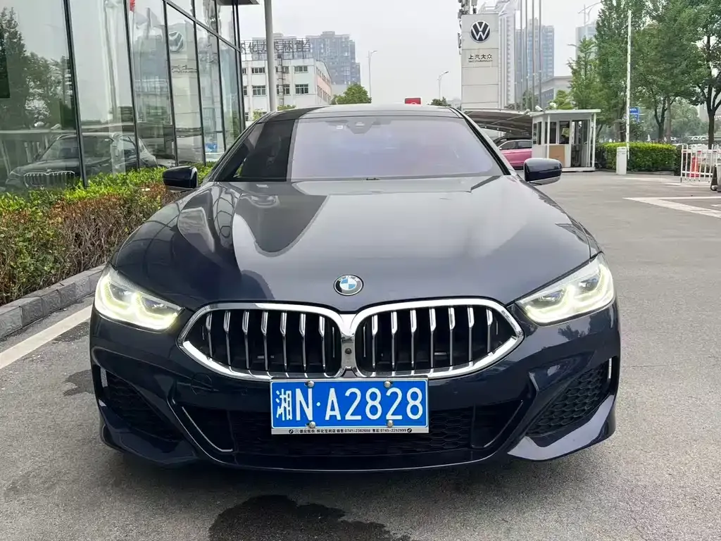 BMW 8 Series 2021 из CN, фото 9