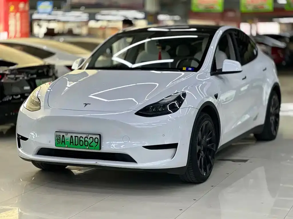 Tesla Model Y — фото 1