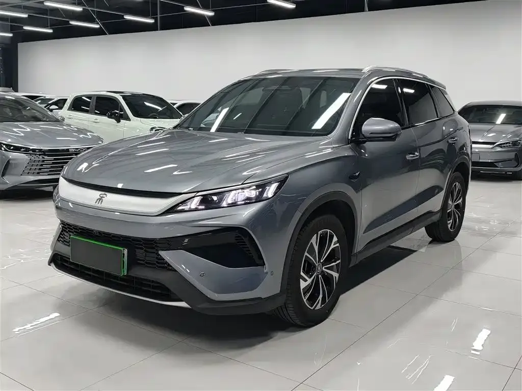BYD Pro New Energy — фото 9