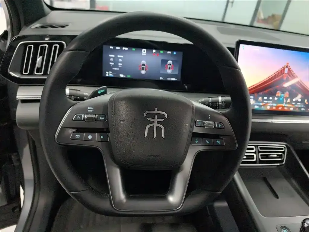 BYD Pro New Energy — фото 8