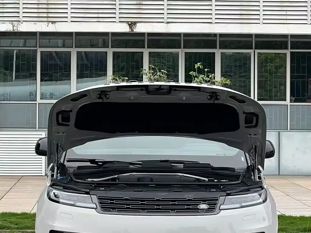 Land Rover Sport 2023 из CN, фото 2