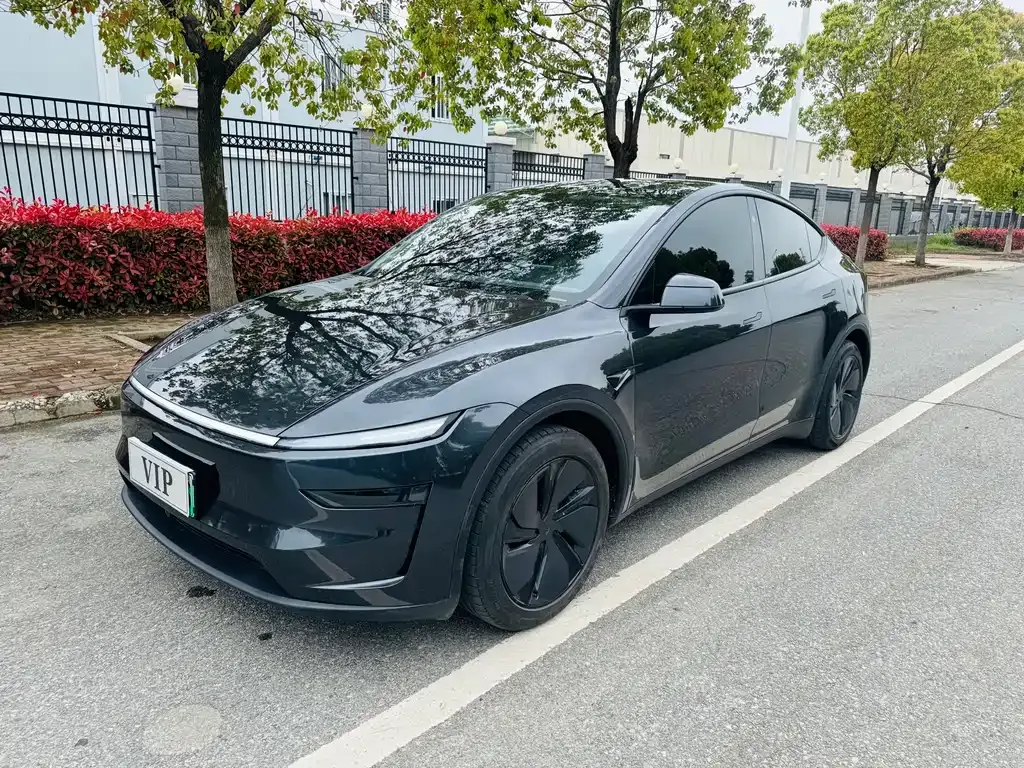 Tesla Model Y — фото 1