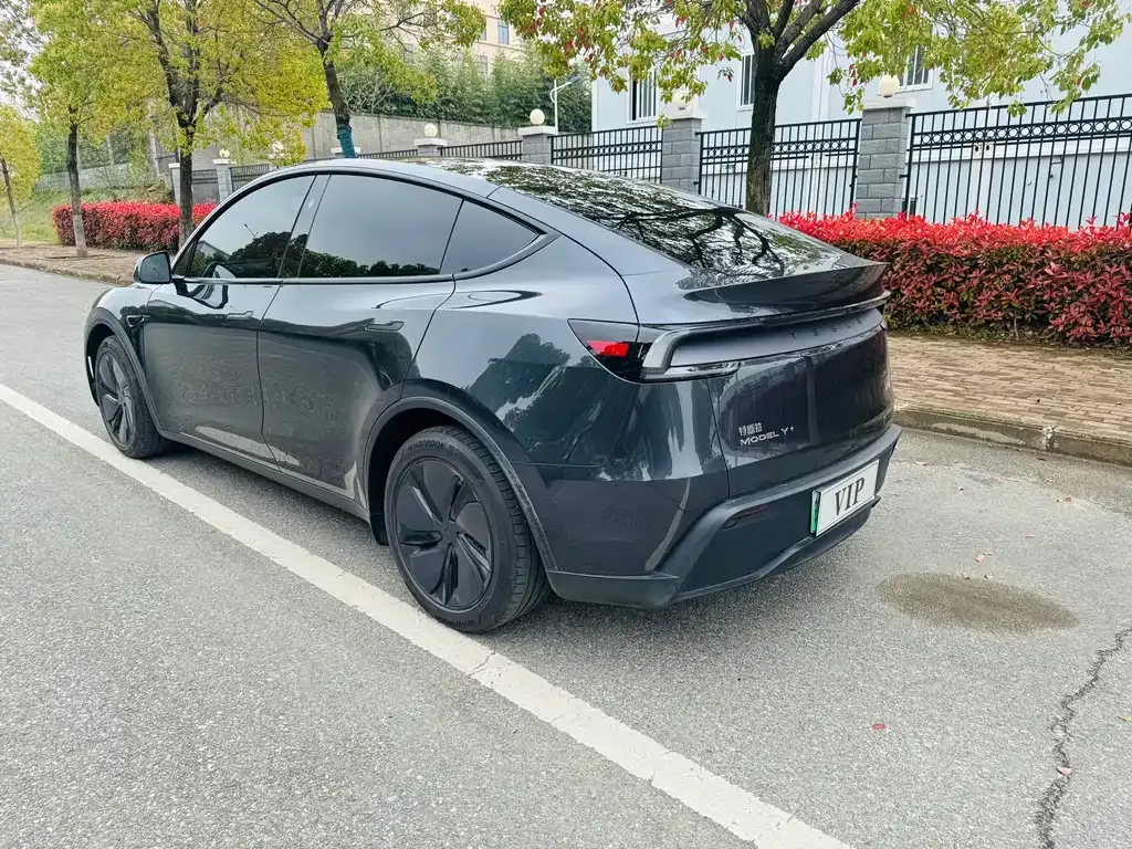 Tesla Model Y — фото 9