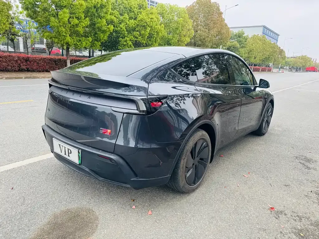 Tesla Model Y — фото 10