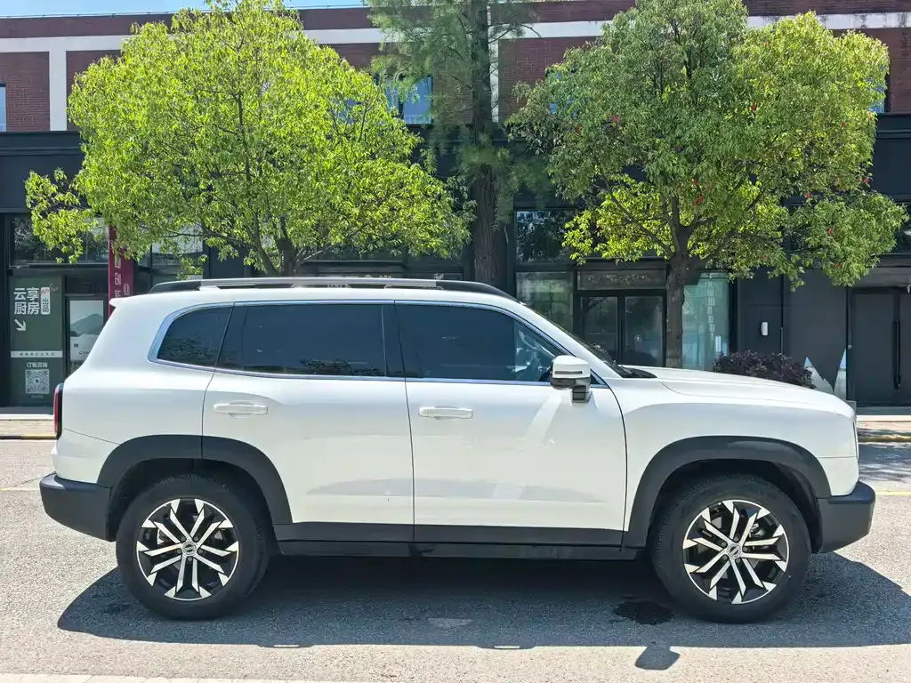 Haval Big Dog 2023 из CN, фото 7