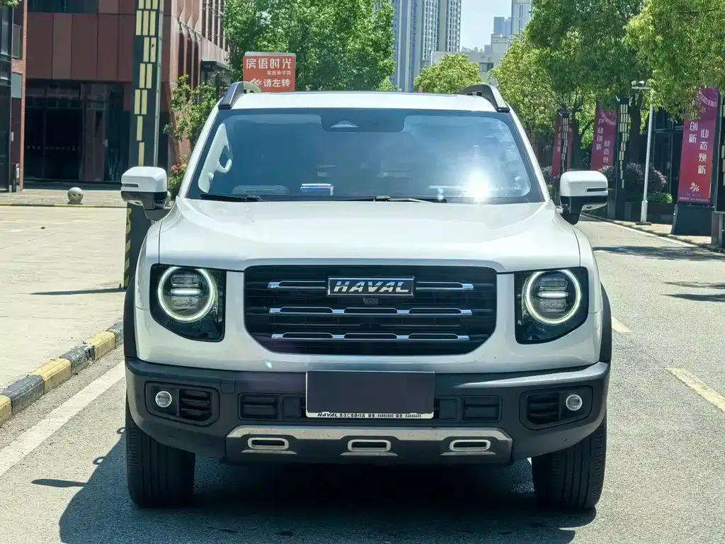 Haval Big Dog 2023 из CN, фото 6