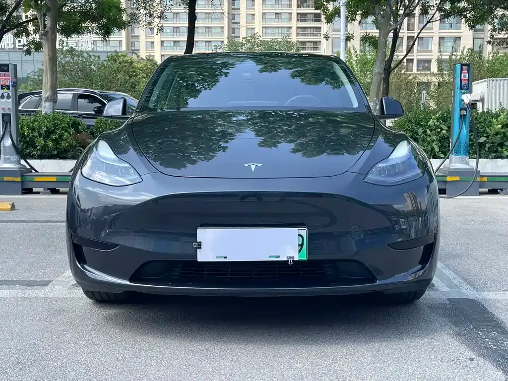 Tesla Model Y — фото 2