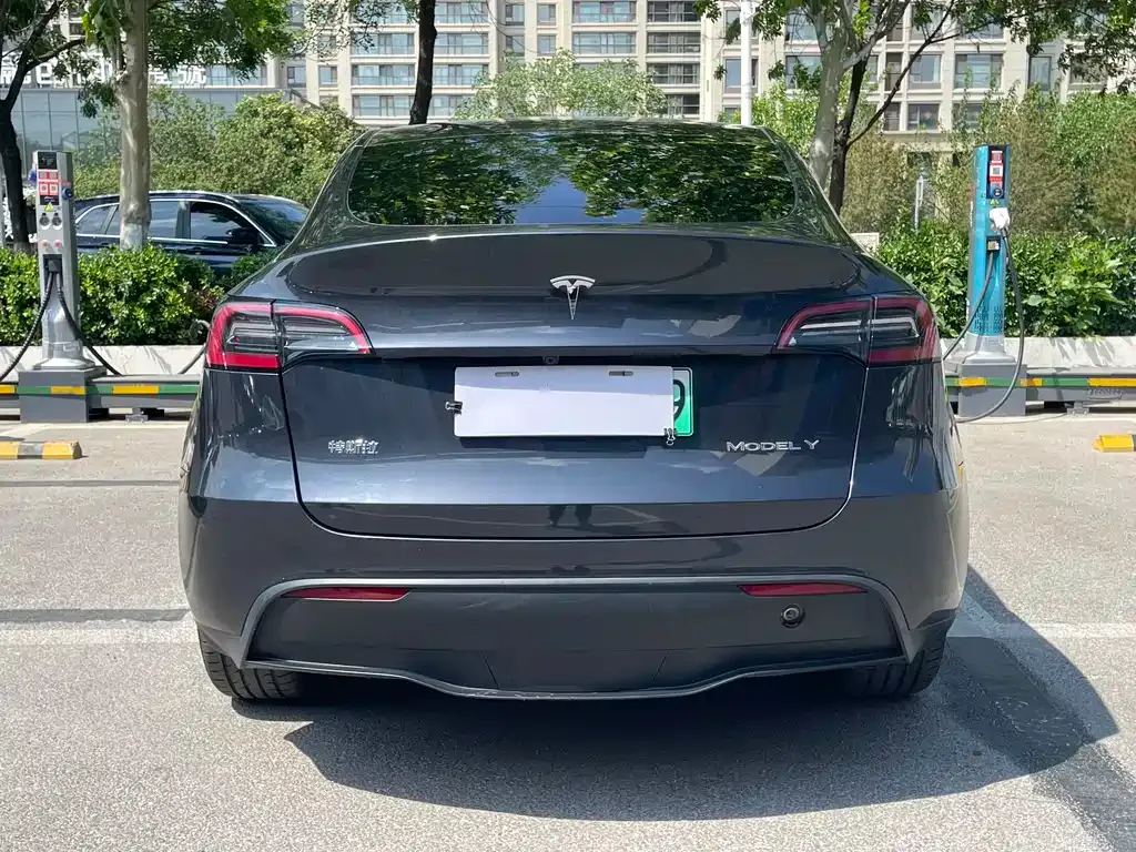 Tesla Model Y — фото 3