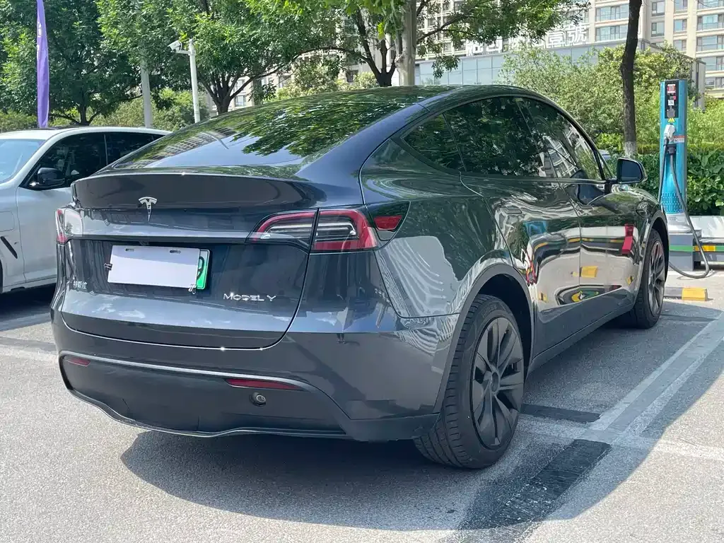 Tesla Model Y — фото 8