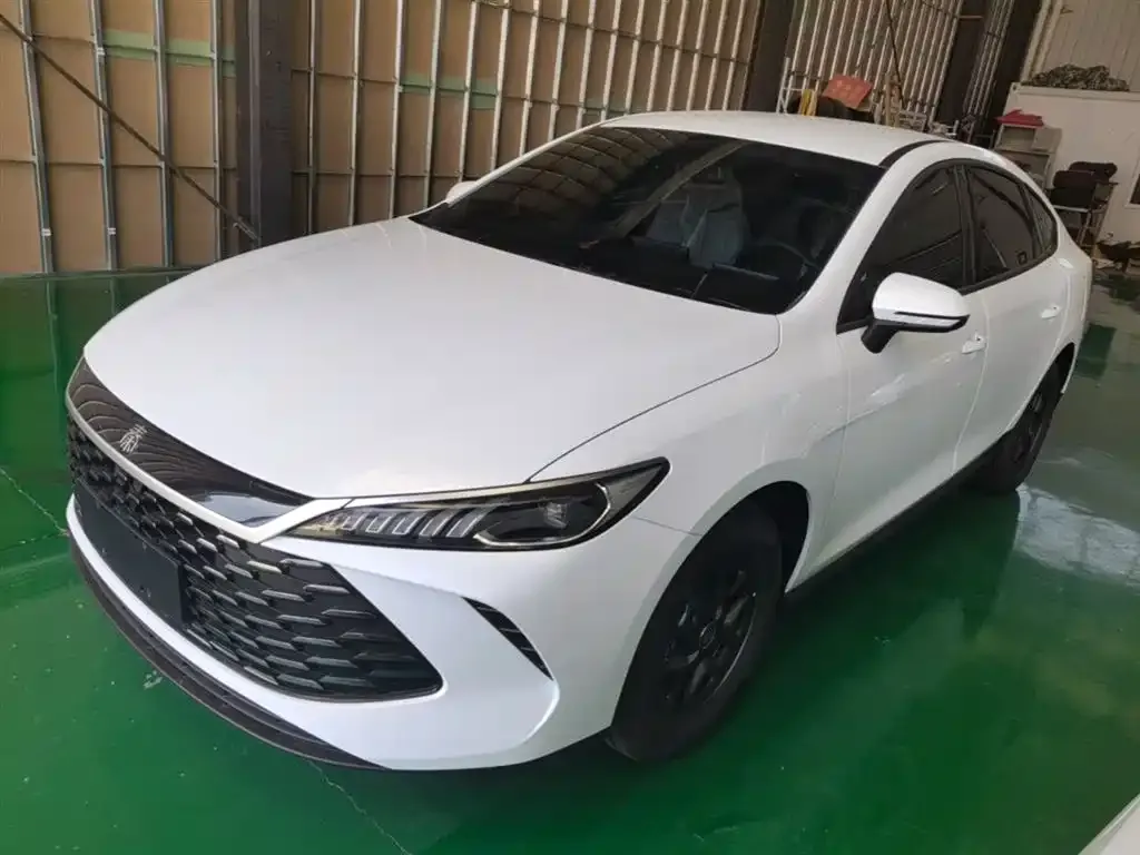 BYD Qin PLUS — фото 3