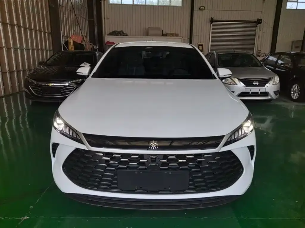 BYD Qin PLUS — фото 10