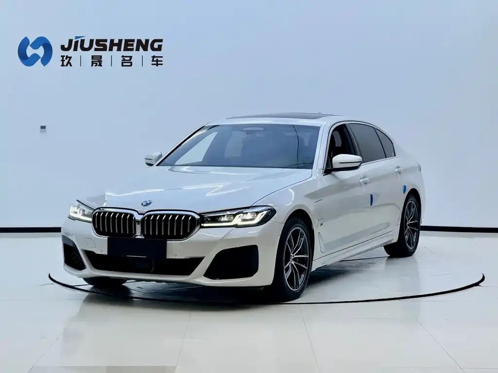BMW 5 Series New Energy — фото 1