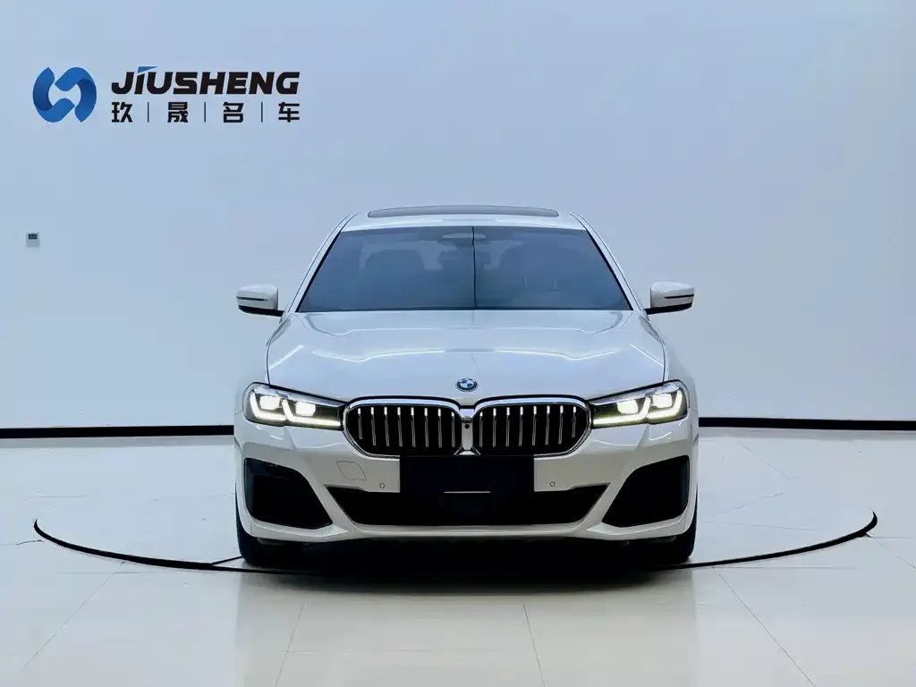 BMW 5 Series New Energy — фото 4
