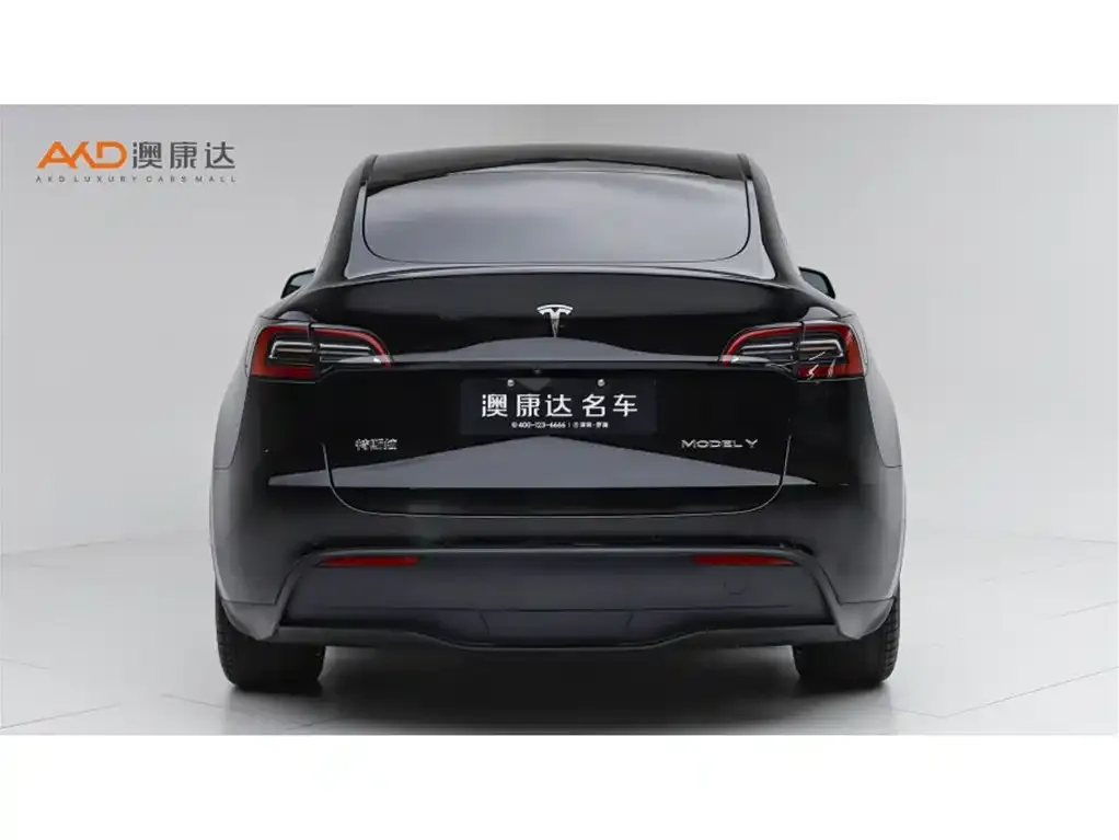Tesla Model Y — фото 9