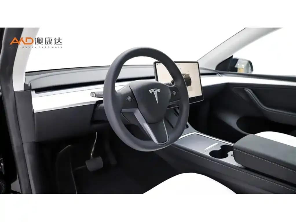 Tesla Model Y — фото 10