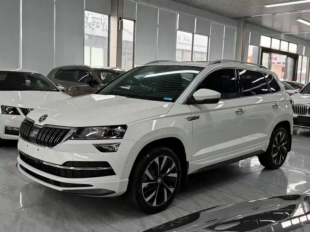 Skoda Karoq — фото 1