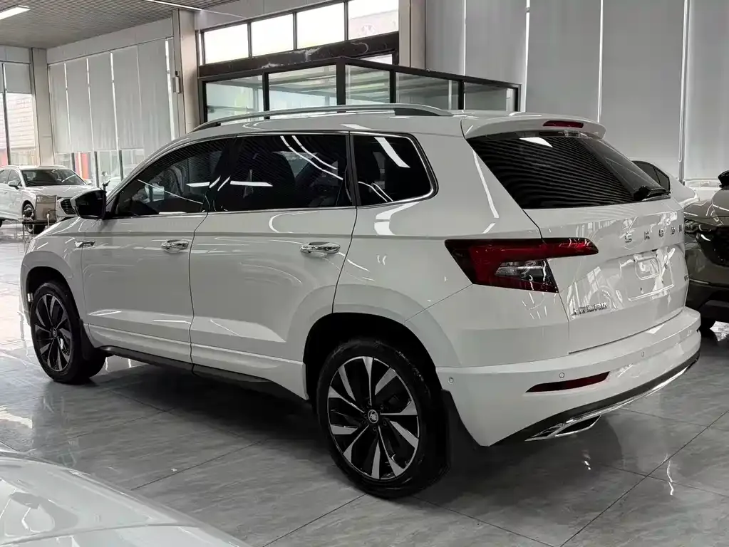 Skoda Karoq — фото 4
