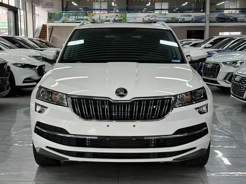 Skoda Karoq — фото 8