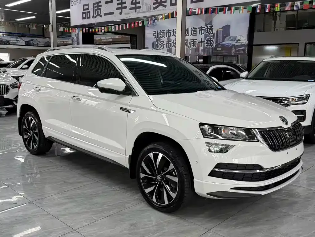 Skoda Karoq — фото 6