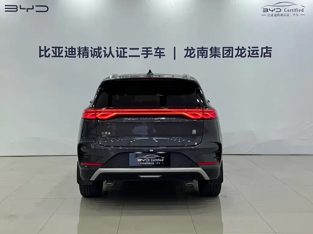BYD Tang New Energy — фото 2