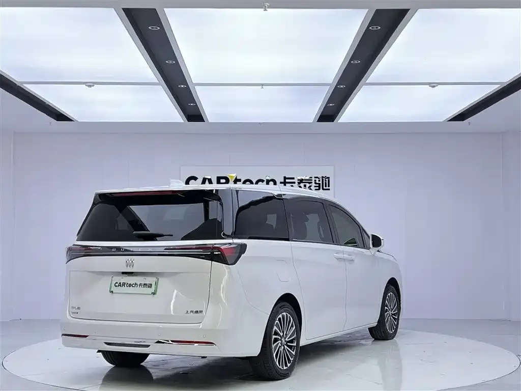 Buick GL8 Hybrid — фото 6