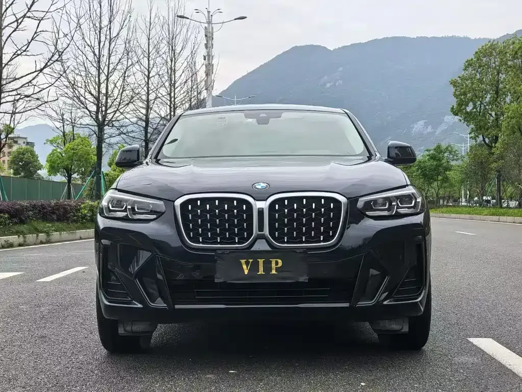 BMW X4 — фото 2
