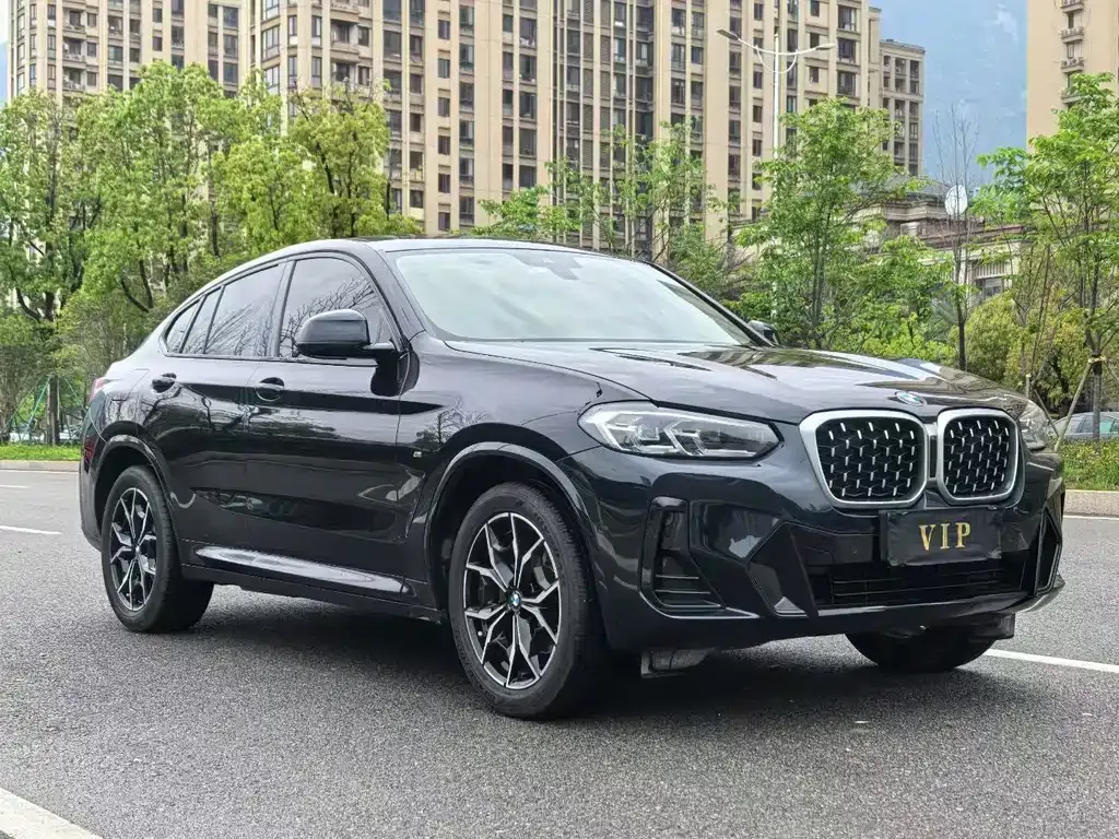 BMW X4 — фото 8