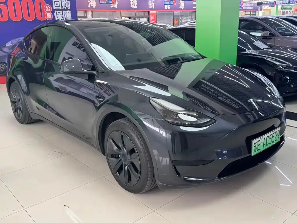 Tesla Model Y — фото 3