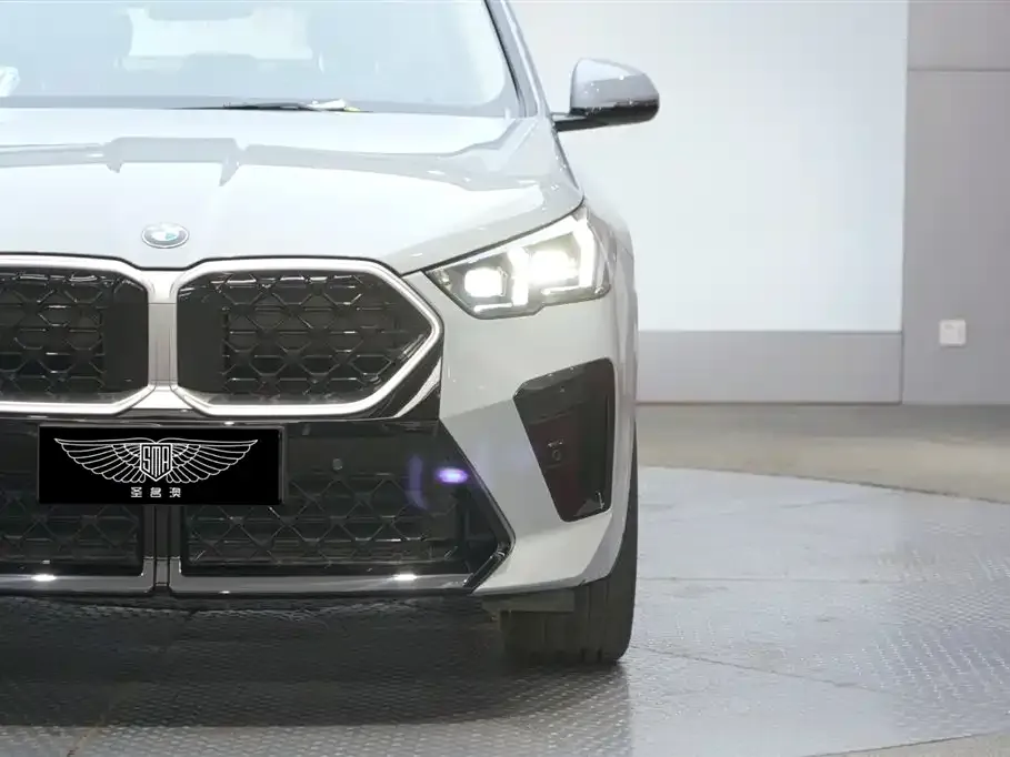 BMW X2 (Import) — фото 6
