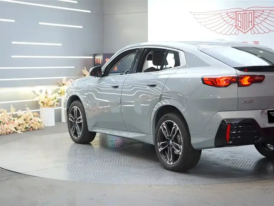 BMW X2 (Import) — фото 9