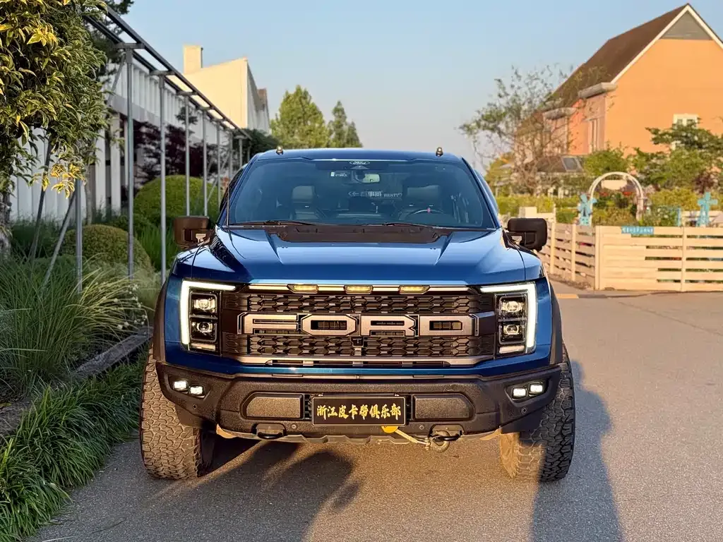 Ford F-150 Raptor 2023 из CN, фото 6