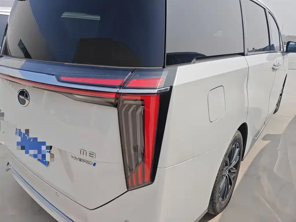 GAC Motor Trumpchi M8 2024 из CN, фото 4