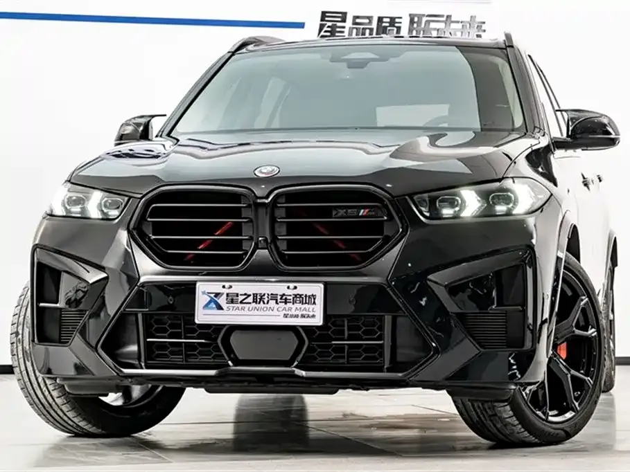 BMW X5 — фото 9