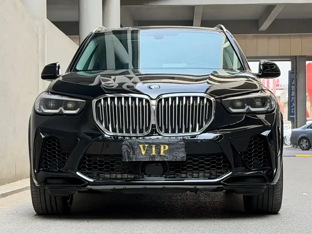 BMW X5 (Import) — фото 9